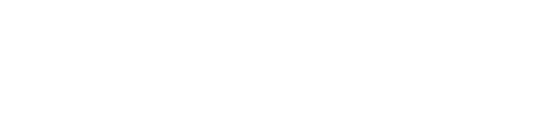 Brisbane Marathon Festival